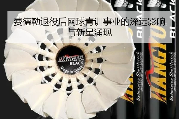 费德勒退役后网球青训事业的深远影响与新星涌现